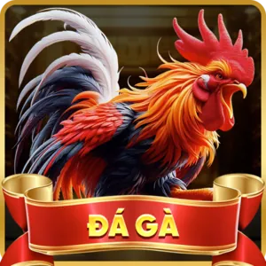 Hỗ trợ qua Điện thoại